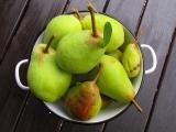 Pears in a Bowl