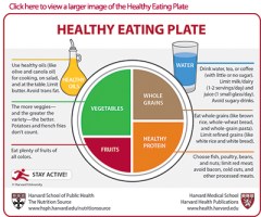 Healthy Eating Plate