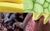 Rainbow Taste Test
PDF