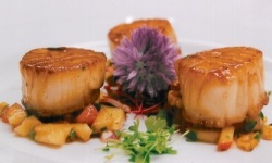 Scallops with Corn/Peach Salsa