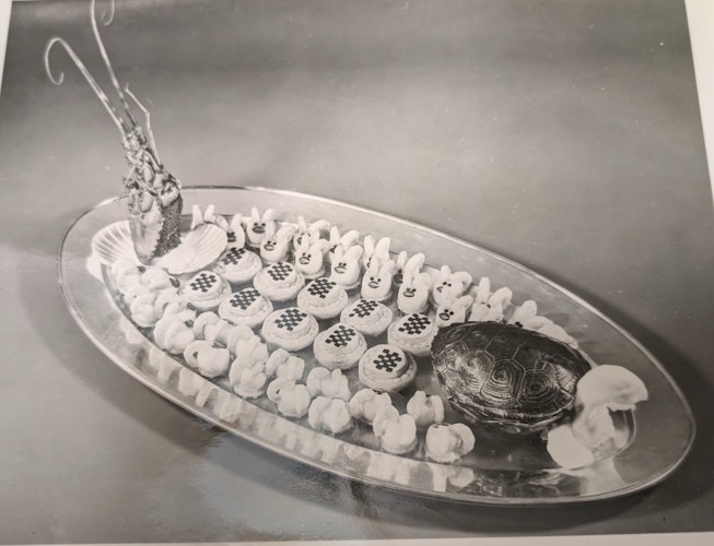 A tray of cookies and a turtle.